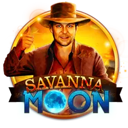 bet969 golfinho 777 cassino entretenimento